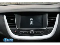 Used Vauxhall Grandland X 130 HP (95 kW) 2020 Blue SUV