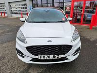 Used Ford Kuga ST-Line X 120 HP (88 kW) 2020 White SUV