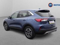 Used Ford Kuga Titanium 150 HP (110 kW) 2023 Blue SUV