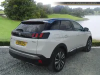 Used Peugeot 3008 Premium 130 HP (95 kW) 2018 White SUV