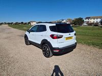 Used Ford Ecosport Active 2023 Frozen white with black roof SUV