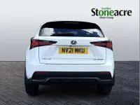 Used Lexus NX300h Sport Line 194 HP (142 kW) 2021 White SUV