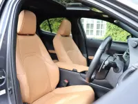Used Lexus UX 300e 150 kW (204 HP) 2024 Grey SUV