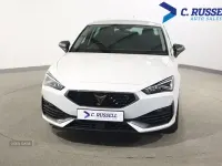 Used Cupra Leon 150 HP (110 kW) 2024