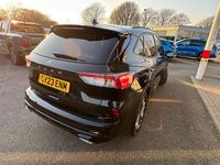 Used Ford Kuga ST-Line 150 HP (110 kW) 2023 Black SUV