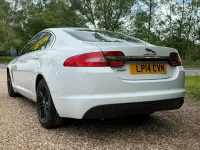Used Jaguar XF Luxury 200 HP (147 kW) 2014 White Sedan