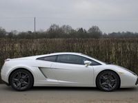 Used Lamborghini Gallardo 520 HP (382 kW) 2006 Coupe
