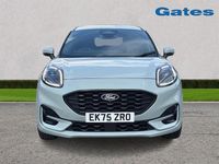 Used Ford Puma ST-Line 125 HP (91 kW) 2025 Grey SUV