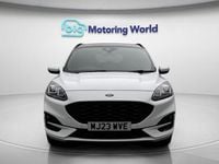 Used Ford Kuga ST-Line X 225 HP (165 kW) 2023 White SUV