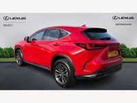 Used Lexus NX350h 2023 Red Estate