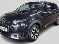 Used Citroën C4 Cactus Flair 2019 Hatchback