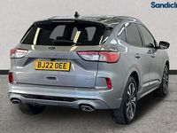 Used Ford Kuga ST-Line X 224 HP (164 kW) 2023 SUV