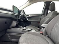 Used Ford Kuga Titanium 243 HP (178 kW) 2024 Bursting green SUV