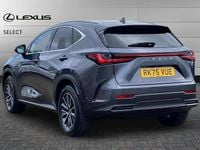 Used Lexus NX450h+ 309 HP (227 kW) 2025 Grey SUV