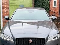 Used Jaguar XF R-Sport 179 HP (131 kW) 2020 Sedan