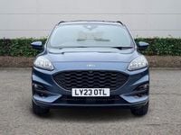 Used Ford Kuga ST-Line X 150 HP (110 kW) 2023 Blue SUV