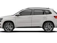 Used Skoda Karoq SE Technology 150 HP (110 kW) 2020 Business grey SUV