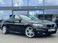 Usado BMW 218 M Sport 150 CV (110 kW) 2019 Negro Descapotable