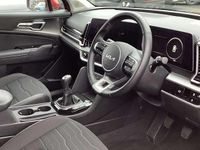 Used Kia Sportage 157 HP (115 kW) 2024 Red SUV