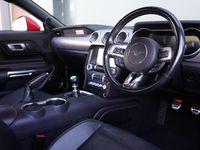 Used Ford Mustang Fastback 310 HP (228 kW) 2019 Red Coupe