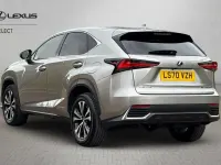 Used Lexus NX300h 2020 Silver SUV