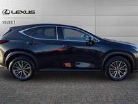 Used Lexus NX350h 244 HP (179 kW) 2024 Graphite black SUV