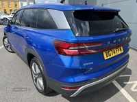 Used Skoda Kodiaq SE L 193 HP (141 kW) 2024 Blue SUV