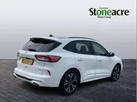 Used Ford Kuga ST-Line X 190 HP (139 kW) 2024 White SUV