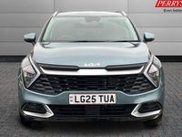 Used Kia Sportage 159 HP (116 kW) 2024 SUV