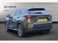 Used Lexus NX350h 243 HP (178 kW) 2025 Green SUV