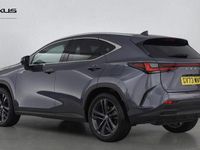 Used Lexus NX450h+ 2023 Grey SUV