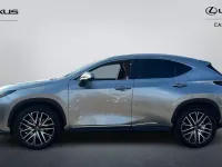 Used Lexus NX350h 2025 Silver Estate