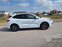 Used Ford Kuga ST-Line 2023 White SUV