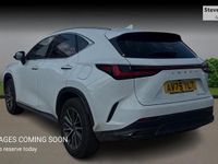 Used Lexus NX350h 2025 White Estate