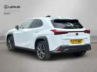 Used Lexus UX 250h Sport Line 2020 White SUV