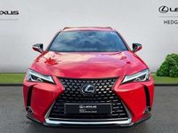 Used Lexus UX 250h 181 HP (133 kW) 2020 Red SUV