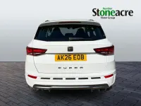 Nuevo Cupra Ateca 190 CV (139 kW) 2026 Blanco SUV
