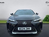 Used Lexus UX 250h 184 HP (135 kW) 2024 SUV