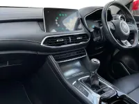 Used MG HS Excite 162 HP (119 kW) 2022 Red SUV