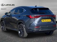 Used Lexus NX350h 243 HP (178 kW) 2025 Grey SUV