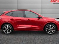 Used Ford Kuga ST-Line X 190 HP (139 kW) 2023 SUV