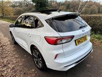 Used Ford Kuga ST-Line X 120 HP (88 kW) 2022 White SUV