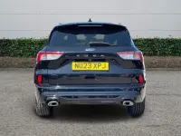 Used Ford Kuga ST-Line X 150 HP (110 kW) 2023 Black SUV