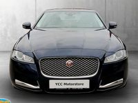 Used Jaguar XF Portfolio 241 HP (177 kW) 2018 Blue Sedan