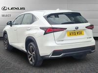 Used Lexus NX300h Sport Line 197 HP (144 kW) 2019 Sonic white SUV