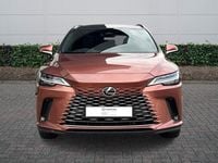 Used Lexus RX450h+ 2023 Bronze Estate