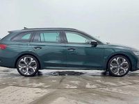 Used Skoda Octavia vRS 195 HP (143 kW) 2025 Royal green metallic Estate