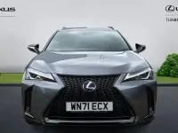Used Lexus UX 250h Sport Line 184 HP (135 kW) 2022 SUV