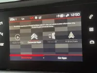 Used Citroën C4 Flair 110 HP (80 kW) 2020 Grey SUV
