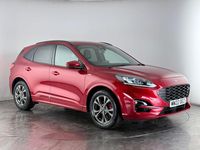 Used Ford Kuga ST-Line 150 HP (110 kW) 2022 Red SUV